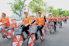 Hai Phong hosts Dutch Days event