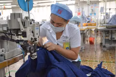 Textile exports to China growing