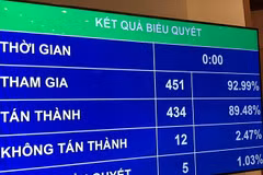 National Assembly adopts resolution adjusting medium-term public investment plan