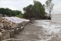 Tien Giang spends nearly 504 billion VND on disaster prevention