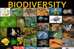 Thailand to create a biodiversity database
