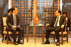 Deputy PM Trinh Dinh Dung busy with meetings in RoK