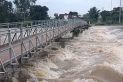 Mekong Delta asked to prepare natural disaster prevention plans
