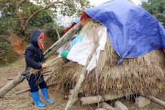 Cold weather hits northern provinces