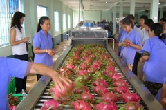 Fruit, vegetable exports continue growth trend in two months