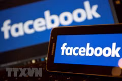 Indonesian parliament demands Facebook hand over audit on data leak
