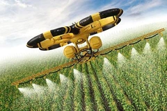Vietnam, a prioritised destination of Dutch businesses