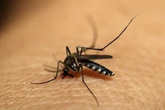 Southeast Asian nations, China pledge to fight malaria 