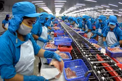 Can Tho: Early industrial restructuring needed for breakthrough growth 