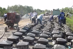 Quang Tri builds dyke to prevent saline intrusion in Hieu river