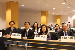  Vietnam prioritises ensuring rights of female labourers: official 
