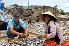 Post-Formosa, coastal residents switch to inland farming