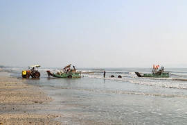 Nghe An fishermen enjoy bumper blue-swimmer crab season