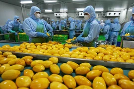 Vietnam’s fruit, vegetable exports estimated at 6.11 billion USD in nine months