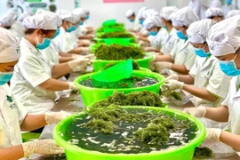 Sea grape grower paves ways for Vietnamese products to reach global markets