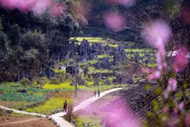 Dong Van Karst Plateau – World’s Leading Regional Cultural Destination