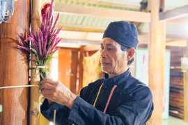 Cong ethnic people celebrate cockscomb flower festival