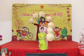 Overseas Vietnamese celebrate Lunar New Year