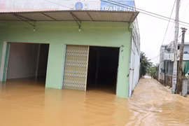Rising river levels cause widespread flooding in Da Nang