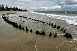 Ancient ship emerges on coast of Hoi An