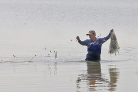 Floating season festival in An Giang