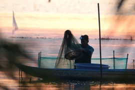 Flood season brings prosperity to Can Tho