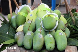 Tien Giang ships first batch of green-skinned mangoes to US