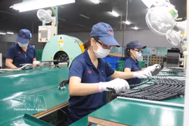 Rising FDI fuels strong rebound in labour market
