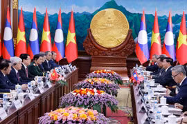 Vietnamese State President holds talks with top Lao leader 