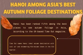 Hanoi among Asia’s best fall foliage destinations: Time Out