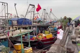 Hai Phong steps up efforts to remove IUU yellow card
