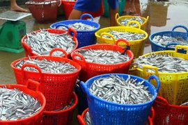 Hung Yen fishermen join hands to combat IUU fishing