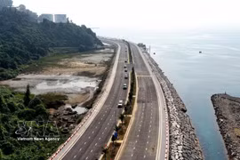 Da Nang advances marine economy as pillar of sustainable growth strategy