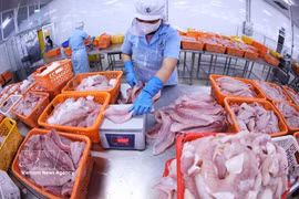 Resolution 57: Navico – world’s second-largest pangasius producer with closed production-export chain