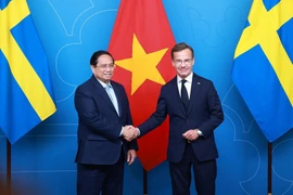 Prime Minister Pham Minh Chinh holds talks with Swedish counterpart