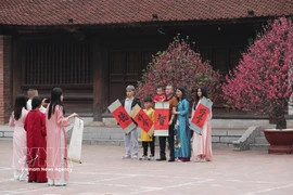 Hanoians enjoy spring spirit on first day of Lunar New Year of the Horse