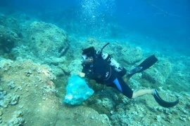 Safeguarding marine ecosystems through sustainable actions