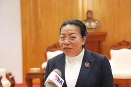 Vietnam, Laos stand in solidarity: Lao official
