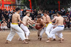 Thuy Linh Ball-Wrestling Festival upholds martial spirit