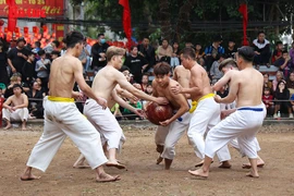 Thuy Linh Ball-Wrestling Festival upholds martial spirit