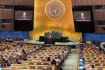 Minister Counsellor Nguyen Hoang Nguyen speaks at the UN General Assembly’s high-level meeting on the human rights situation of Rohingya Muslims and other minorities in Myanmar. (Photo: VNA)