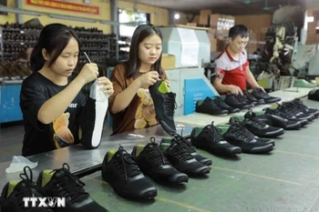 Vietnam’s main exports to Paraguay include footwear, aquatic products, electronics and machinery. (Photo: VNA)