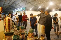 Visitors at the festival (Photo: VNA)