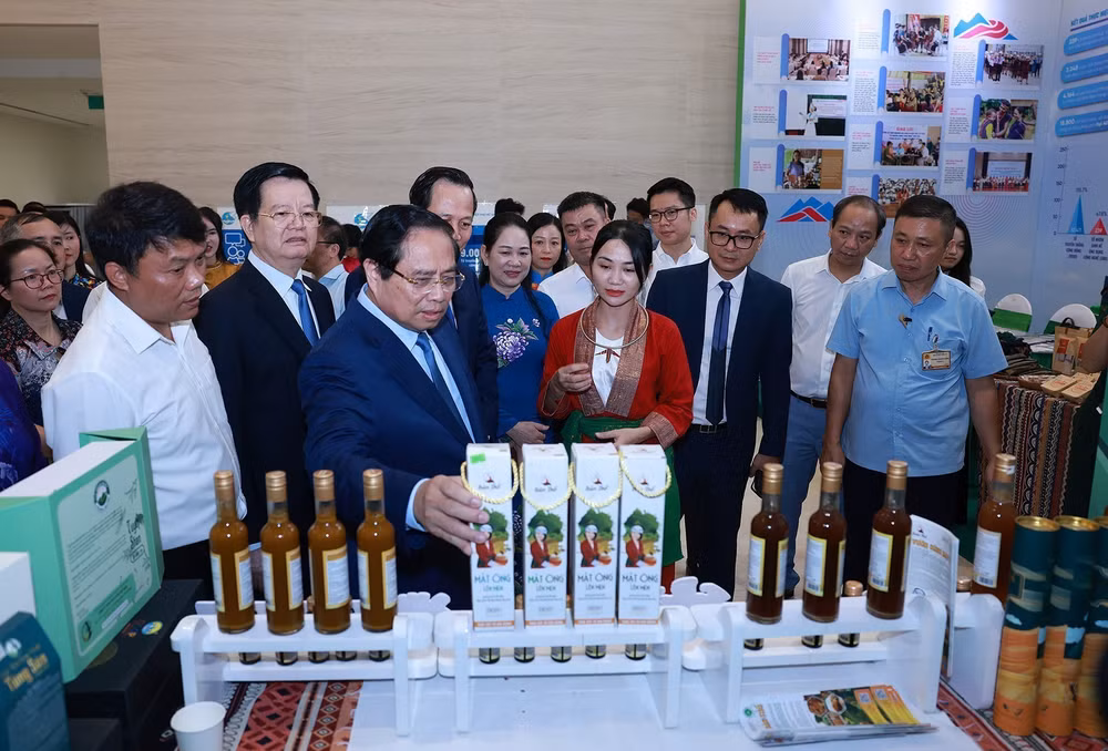 vna-potal-thu-tuong-du-tong-ket-chuong-trinh-muc-tieu-quoc-gia-phat-trien-kinh-te-xa-hoi-vung-dong-bao-dan-toc-thieu-so-8207245.jpg