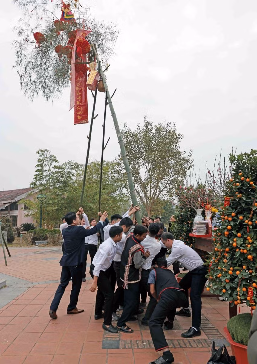 neu-tree.jpg