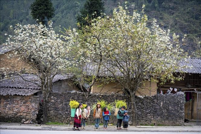 Ha Giang targets 3.5 million visitors in 2025 | Vietnam+ (VietnamPlus)