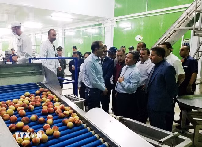 A delegation of the Vietnamese Embassy in Algeria visits a business in Médéa, Algeria (Photo: VNA)