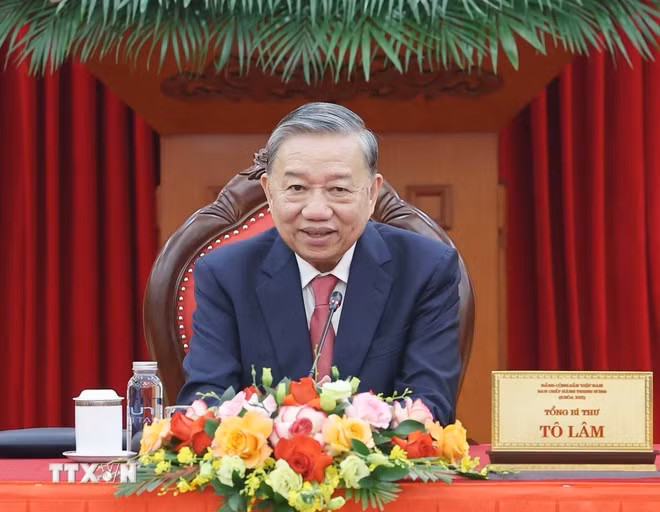 to-lam-vna.jpg