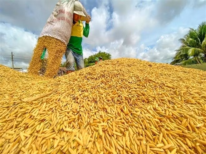hq.jpg