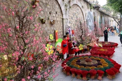 Vietnam is ringing in Tet (Traditional Lunar New Year) (Photo: VNA)